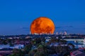 Large pink orange moon rising behind Sydney CBD buildings NSW Australia Royalty Free Stock Photo