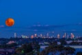 Large pink orange moon rising behind Sydney CBD buildings NSW Australia Royalty Free Stock Photo