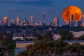 Large pink orange moon rising behind Sydney CBD buildings NSW Australia Royalty Free Stock Photo