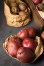 Large pink potatoes sprouting for planting in the ground