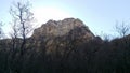 Rocky Pinnacle and the Trees