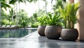Large Planters And Greenery Enhancing Outdoor Garden Decor By The Poolside Royalty Free Stock Photo