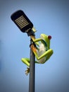 Frog light post decoration