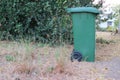 1 large plastic green trash can set on the outdoor park floor. Royalty Free Stock Photo