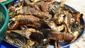 Large plate with a grilled seafood lobsters. BBQ exotic food on the beach. Selective focus Royalty Free Stock Photo