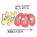 Large platelets in hematology analyzer