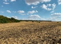 Large plowed wheat farm field with forest at distance and sunny blue sky with clouds Royalty Free Stock Photo