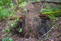 A large plundering pit dug by black diggers at an archaeological site