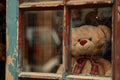 Large plush teddy bear with a bow peering through an old, weathered window. Royalty Free Stock Photo
