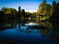 Large pond with water lilies in an italian public park. Royalty Free Stock Photo