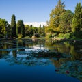 Large pond with water lilies in an italian public park. Royalty Free Stock Photo