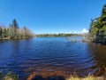 Large pond in the woods