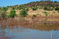 LARGE POOL OF STATIC WATER ON GRASSLAND AFTER HEAVY RAINS Royalty Free Stock Photo