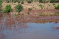 LARGE POOL OF WATER ACCUMULATED IN GRASSLAND AFTER RAIN Royalty Free Stock Photo