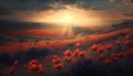 Large poppy field, sky background with clouds, bright sun. AI generated Royalty Free Stock Photo