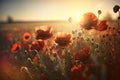 Large poppy field, sky background with clouds, bright sun. AI generated Royalty Free Stock Photo