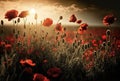 Large poppy field, sky background with clouds, bright sun. AI generated Royalty Free Stock Photo