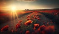 Large poppy field, sky background with clouds, bright sun. AI generated Royalty Free Stock Photo