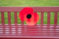 A large poppy has been placed on the bench in commemoration for the ending of the Great War