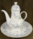 A large porcelain white teapot with blue flowers stands on a platter on the table against a black isolated background Royalty Free Stock Photo