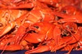 Large portion of boiled crayfish on a tray close-up