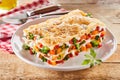 Large portion of healthy vegetable lasagne Royalty Free Stock Photo