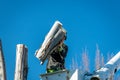 Large portion of a maple tree is removed by a professional arborist Royalty Free Stock Photo
