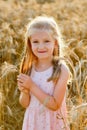 A large portrait of a blonde girl on a wheat field at sunset. A child in the countryside in nature. The girl is holding ripe ears Royalty Free Stock Photo