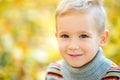 Large portrait of a boy in the open air. Cute boy walking in the autumn Park. The child looks at the camera with a smile