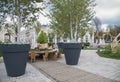 Large potted trees in Nancy, France center square