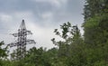 Large power line pole in the middle of the forest. Royalty Free Stock Photo