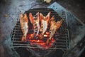 Large prawns are placed on an iron griddle and grilled over a hot coal stove Royalty Free Stock Photo