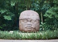 Great Colossal Head Olmec culture La Venta Villahermosa Tabasco Mexico Royalty Free Stock Photo