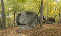 Large Precambrian Boulders in a Fall Forest - Ontario, Canada