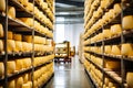 A large production room filled with many racks and shelves with different types of cheese. The cheese matures in a special room at