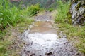 A large puddle in the mountain during the rain. Drops and circles on the puddle Royalty Free Stock Photo