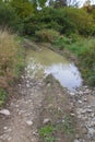 A Puddle of Water in the Middle of a Dirt Road