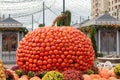Large Pumpkin Collected From Small Orange Pumpkins, Decoration For The Harvest Festival Or Halloween