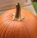 Large pumpkin in the rain