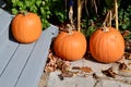 3 large pumpkins in a row on walkway Royalty Free Stock Photo