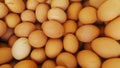 Chicken Egg in Large Quantities