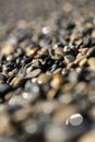 Large quantities of wet pebbles Royalty Free Stock Photo