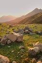 Large quartz rocks on a mountain meadow. sunset in the mountains. beautiful gony background