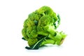 Large raw fresh head of broccoli cabbage on white background, healthy vegetarian food, isolated, close-up Royalty Free Stock Photo