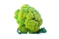 Large raw fresh head of broccoli cabbage on white background, healthy vegetarian food, isolated, close-up Royalty Free Stock Photo