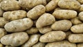 Large raw Russet potatoes closeup in a traditional vegetable market. Royalty Free Stock Photo