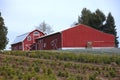 Large red barns. Royalty Free Stock Photo