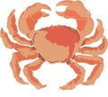 Large red crustacean atlantic crab