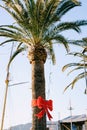 A large red date palm bow is a Christmas street decoration in warm climates. Royalty Free Stock Photo