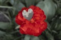 on large red flower lies heart cut from camouflage fabric for military uniform. Stop the war Royalty Free Stock Photo